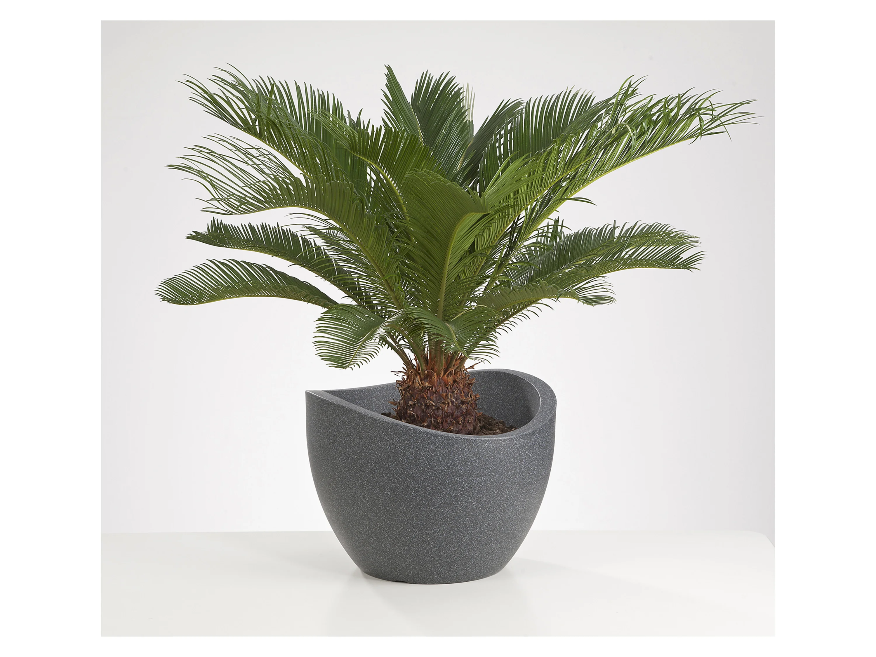 SCHEURICH Pflanzgefäß Wave Globe (Schwarz Granit, Ø 60 cm, Höhe 45 cm) – Bild 3 von 4