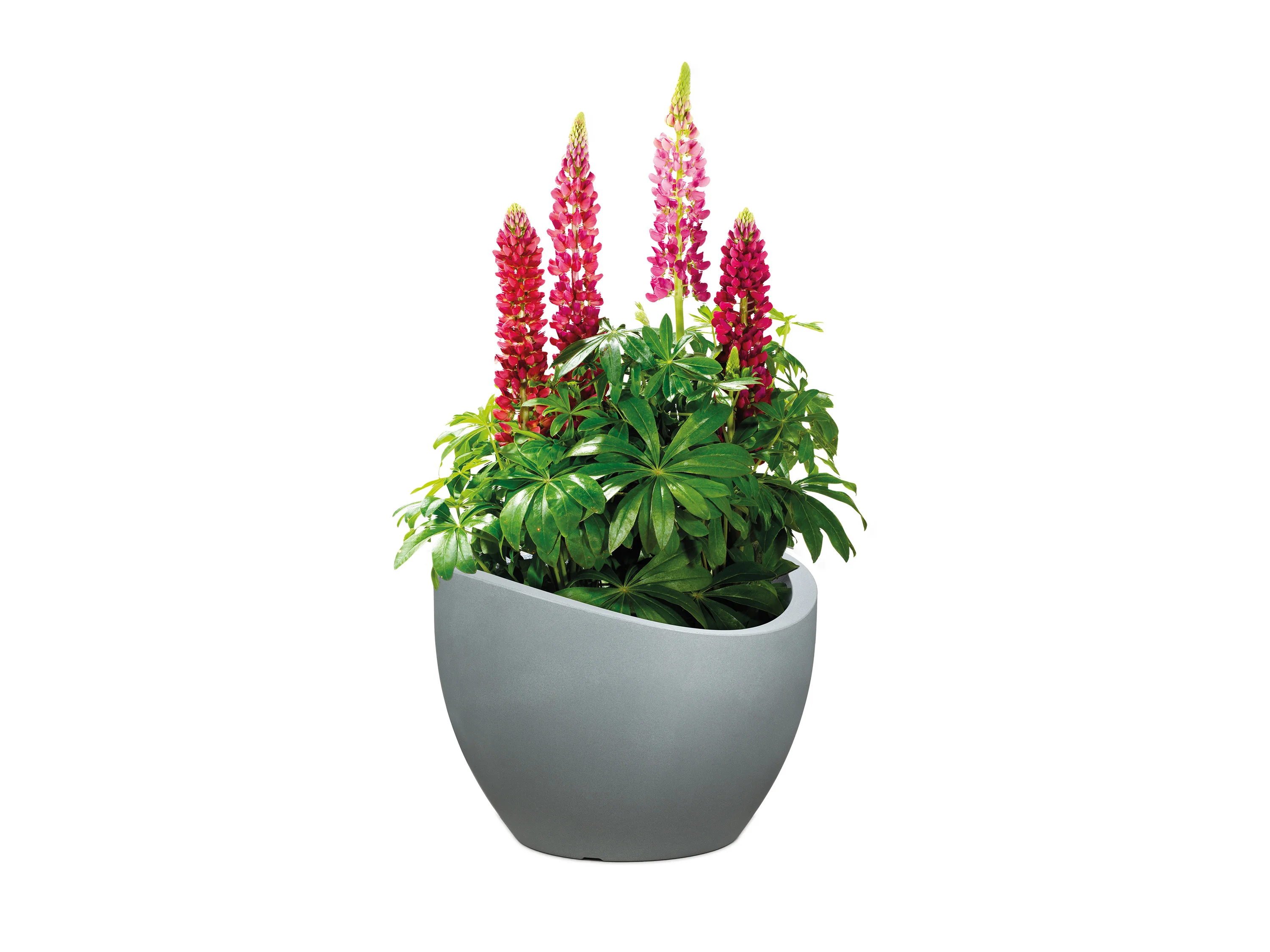 SCHEURICH Pflanzgefäß Wave Globe (Stony Grey, Ø 60 cm, Höhe 45 cm) – Bild 3 von 4