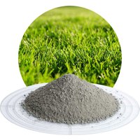 SCHICKER MINERAL Rasensand Plus »Diabas«, 25 kg
