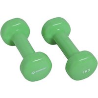 SCHILDKRÖT FITNESS Schildkröt VINYL HANTEL Set, 2x 1,0kg (green), in 4C-Box, M-2022