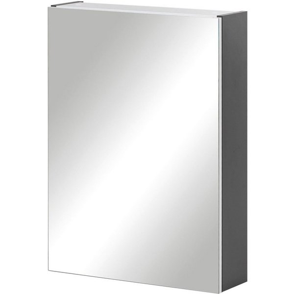 Schildmeyer Spiegelschrank Basic, Spiegelschrank, Made in Germany, B: 50 cm Solide Verarbeitung - Dieses Produkt ist in Deutschland gefertigt
