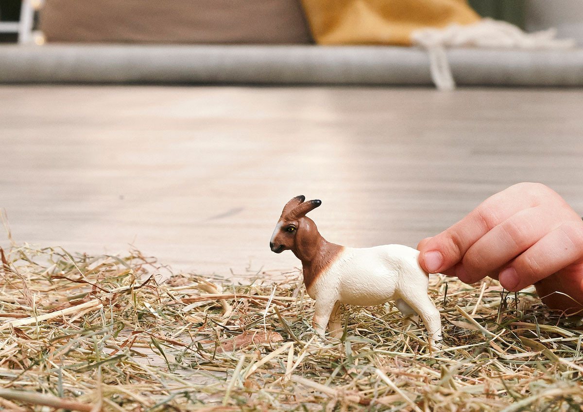 Schleich® Spielfigur FARM WORLD, Burenziege (14929) – Bild 2 von 5