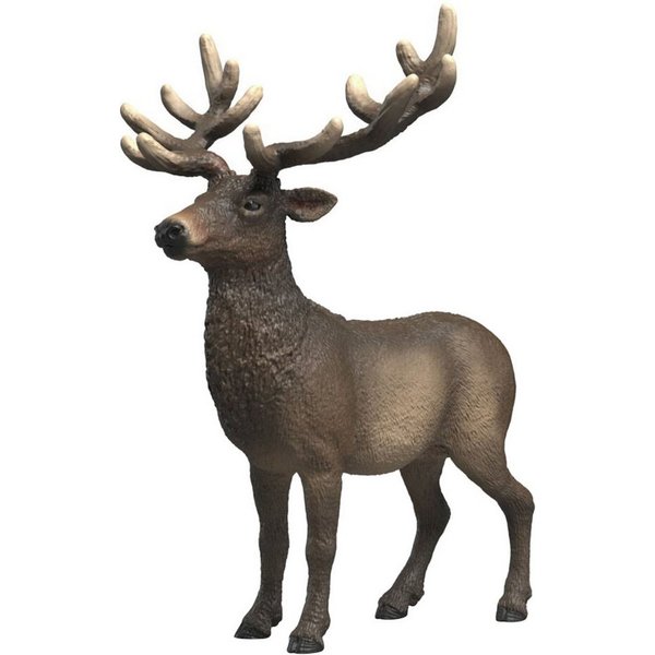 Schleich® Spielfigur WILD LIFE, Amerikanischer Rothirsch (14992)