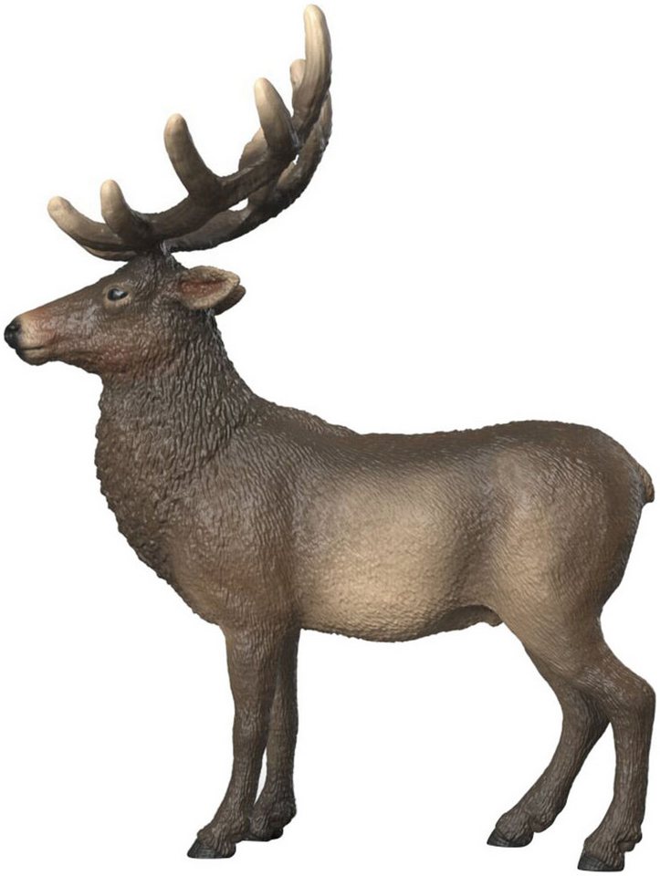 Schleich® Spielfigur WILD LIFE, Amerikanischer Rothirsch (14992) – Bild 4 von 5