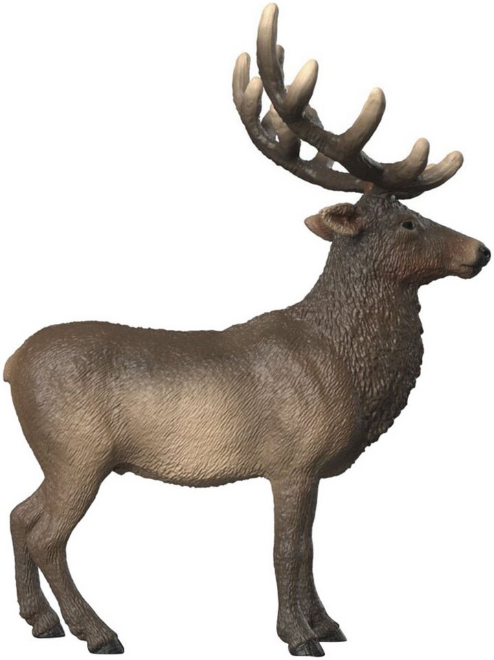 Schleich® Spielfigur WILD LIFE, Amerikanischer Rothirsch (14992) – Bild 5 von 5