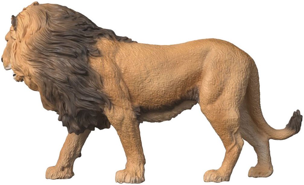 Schleich® Spielfigur WILD LIFE, Afrikanischer Löwe (14974) – Bild 4 von 5