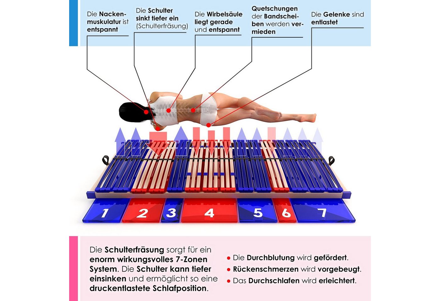 Lattenrost Fix Sleep Best 42®, Schlummerparadies, Kopfteil nicht verstellbar, Fußteil nicht verstellbar, aus 100% BUCHE, 10 Jahre Garantie, SCHULTERFRÄSUNG, unm – Bild 4 von 5