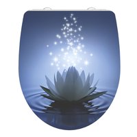 water lily