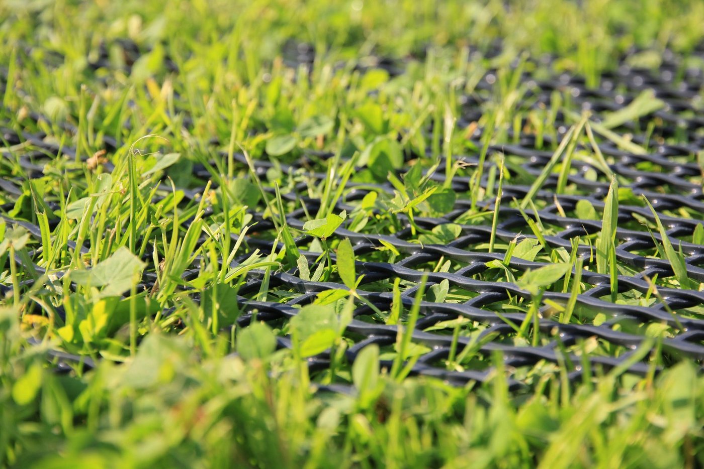 EraGreen Schutzplane EraGreen Rasenschutzgitter 1,3 m Breite (Meterware) 2 GRATIS ERDANKER (Rasenschutzgitter, Mähroboter-kompatibel, befahrbares Rasengitter fü – Bild 2 von 4