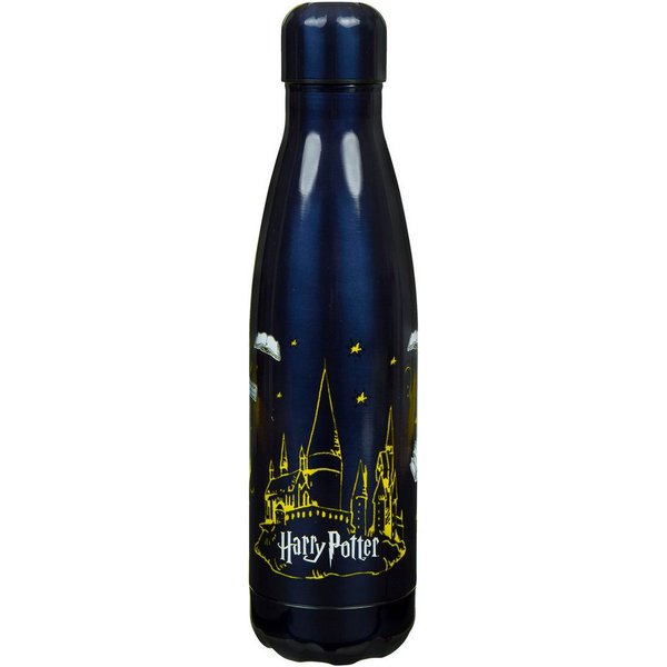 Scooli Isolierflasche Harry Potter