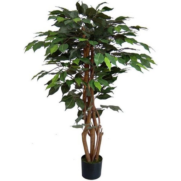 Kunstbaum Ficus Excotica 120cm DA Kunstbaum Baum Kunstpflanzen künstliche Birkenfeige, Seidenblumen Roß, Höhe 120 cm, Grün