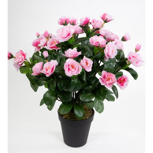 Kunstblume Azalee 40cm im Topf ZF Kunstpflanzen Kunstblumen künstliche Pflanzen Blumen, Seidenblumen Roß, Höhe 40 cm, Rosa-Pink