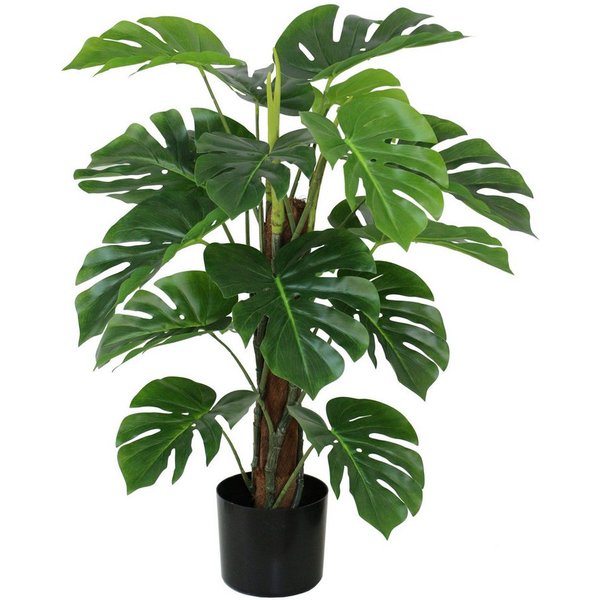 Kunstpflanze Splitphilo am Kokosstamm LA Kunstbaum künstliche Pflanze, Seidenblumen Roß, Höhe 75 cm