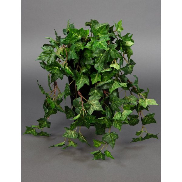 Kunstranke Waldefeubusch DA Kunstpflanzen künstliche Efeuranke Efeubusch Efeu, Seidenblumen Roß, Höhe 45 cm