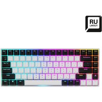 Sharkoon SKILLER SGK50 S3 keyboard