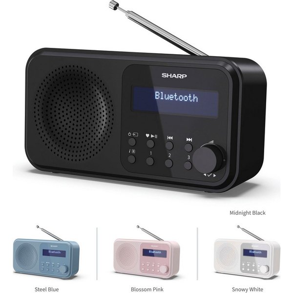 Sharp DR-P420 Radio (Digitalradio (DAB), FM-Tuner mit RDS, 2 W)
