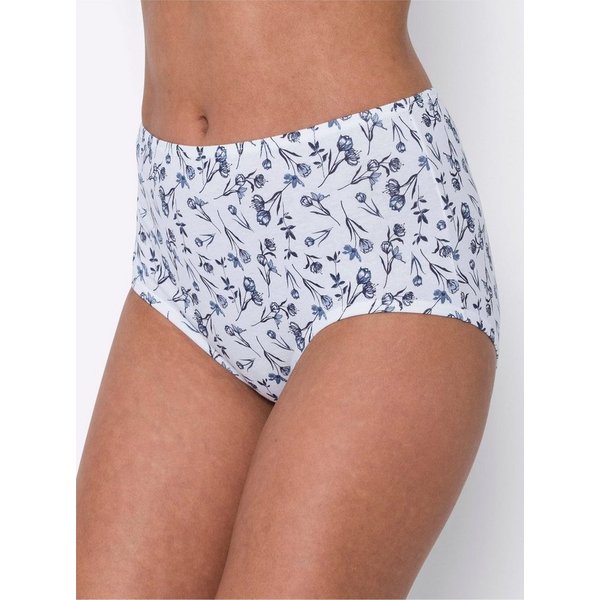 Sieh an! Slip Taillenslip (4-St)