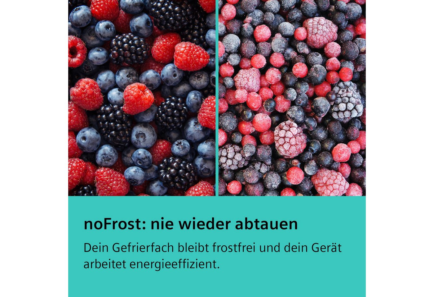 SIEMENS Einbaukühlgefrierkombination iQ100 KI86NNFE0, 177,2 cm hoch, 54,1 cm breit, No Frost: nie wieder Abtauen – Bild 2 von 5