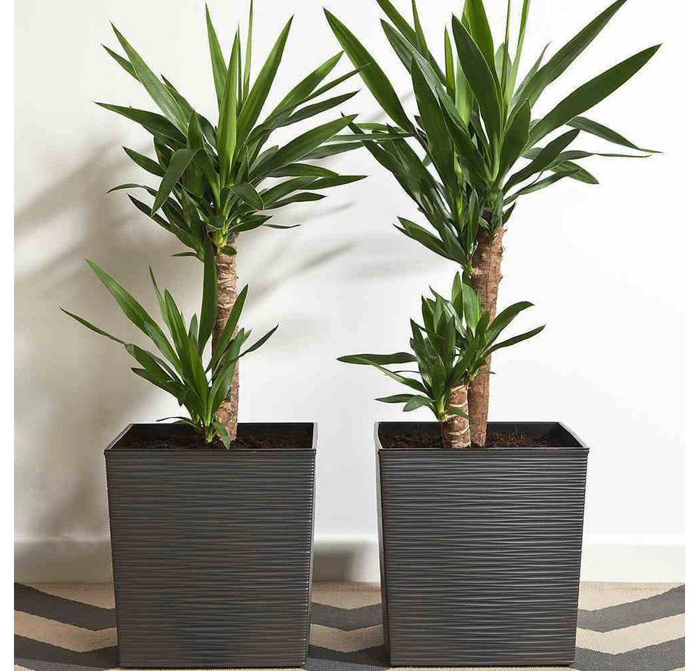 Siena Garden Pflanzkübel, Rillenoptik, eckig – Bild 5 von 5