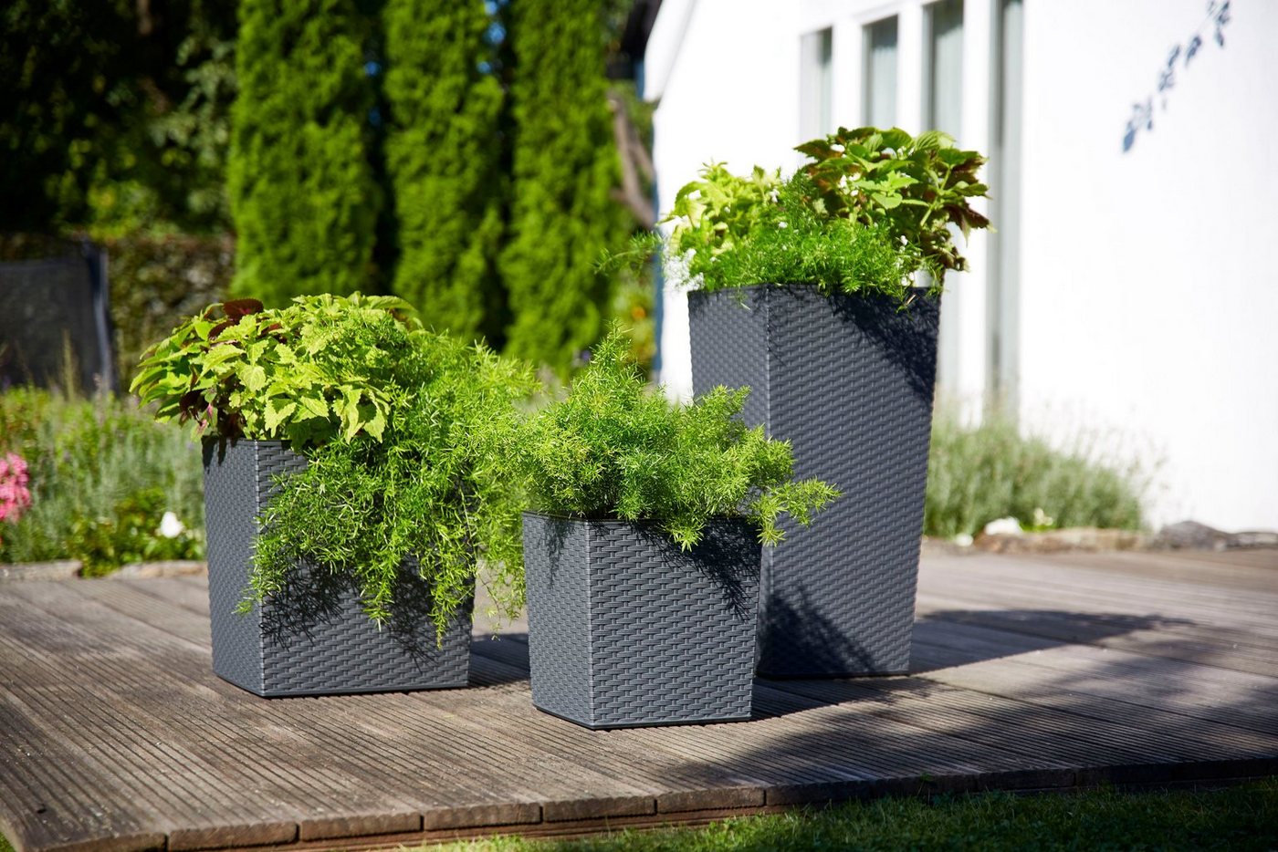 Siena Garden Pflanzkübel, Rillenoptik, eckig – Bild 4 von 5