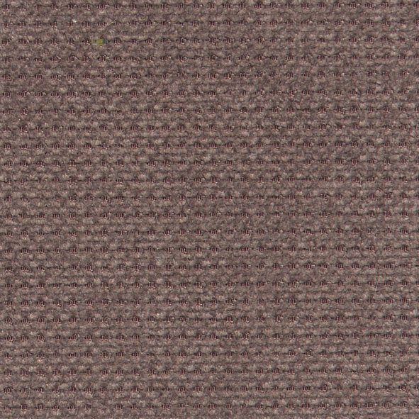 sit&more Sessel Sonoma, B: 95 cm, Federkern-Polsterung, komfortable Sitzhöhe 45 cm, Frei im Raum stellbar, individuell kombinierbar, modernes Design – Bild 5 von 5
