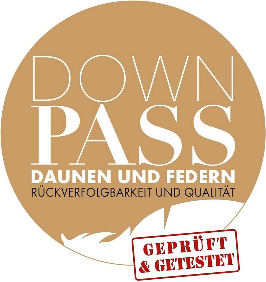 sleepling Daunenbettdecke als Kassettendecke, Füllung: 90% Daunen / 10% Federn, Bezug: 100% Baumwolle, ÖKO-TEX STANDARD 100, ganzjährige Winterbettdecke, reines – Bild 5 von 5