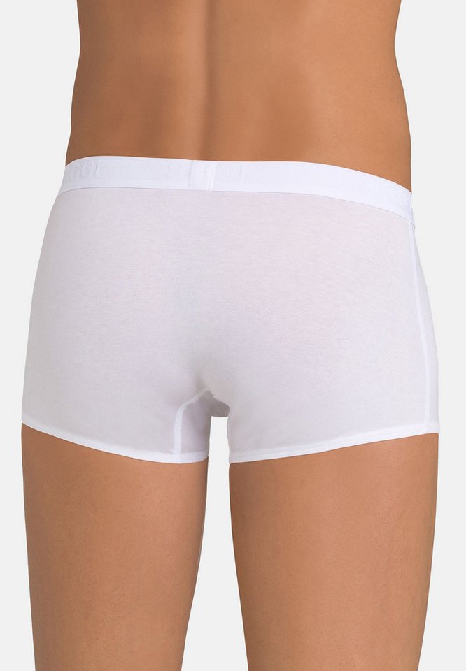 sloggi Retro Boxer 6er Pack 24/7 (Spar-Set, 6-St) Hipster Short / Pant - Baumwolle - ohne Eingriff - Atmungsaktiv – Bild 3 von 4