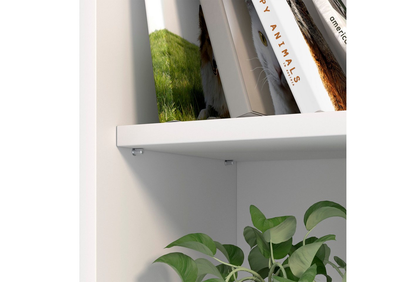 SO-TECH® Möbelbeschlag Fach-Bodenträger Regalstifte verschiedene Ausführungen (100 St), Fachbodenträger D5 für Holzböden, glanzverzinkt – Bild 2 von 5