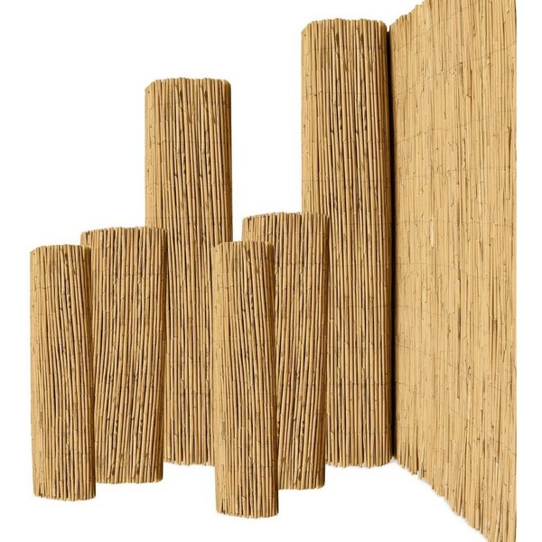 Sol Royal Sichtschutzzaunmatten Schilfmatten Sichtschutz Zaun S36, 100x300cm, Balkon, witterungsbeständiger 100% Schilfrohrmatte Indoor & Outdoor für Garten