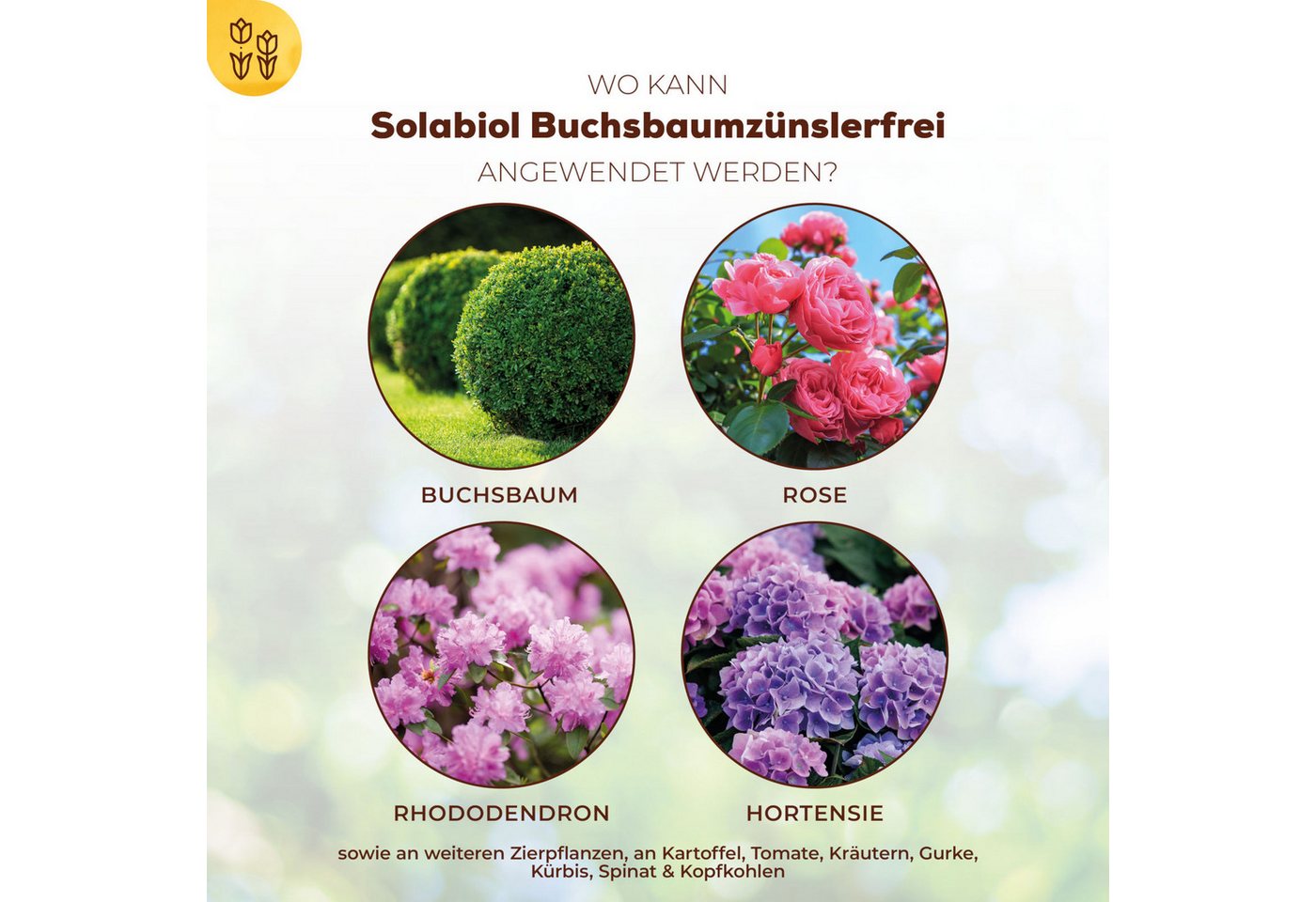Solabiol Insektenspray Buchsbaumzünslerfrei, 50 ml, 50 ml – Bild 3 von 5