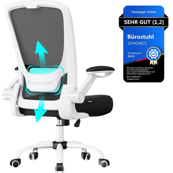 SONGMICS Bürostuhl ergonomischer Drehstuhl mit Mesh, Lendenstütze, Wippfunktion, ohne Kopfstütze, 53 cm breite Sitzfläche und klappbaren Armlehnen