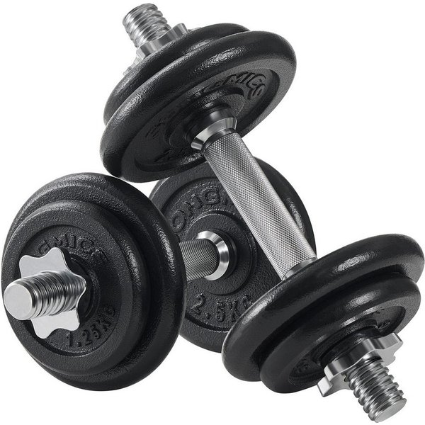 SONGMICS Kurzhantel Hanteln, Hantelset aus Gusseisen, verstellbar 20-40kg, für Workout, Fitnesstraining, Gewichtheben für Zuhause, Fitnessstudio