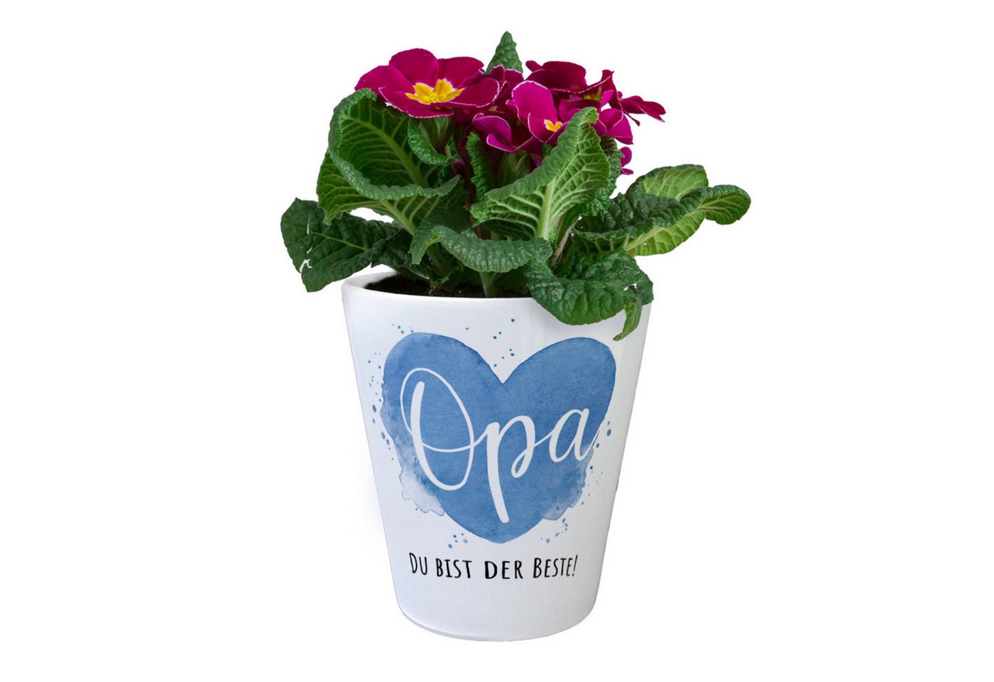 speecheese Blumentopf Bester Opa Blumentopf mit Spruch Opa Du bist der Beste – Bild 2 von 2