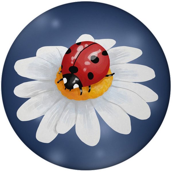speecheese Magnet Marienkäfer Glücksbringer Magnet rund mit Flaschenöffner rund