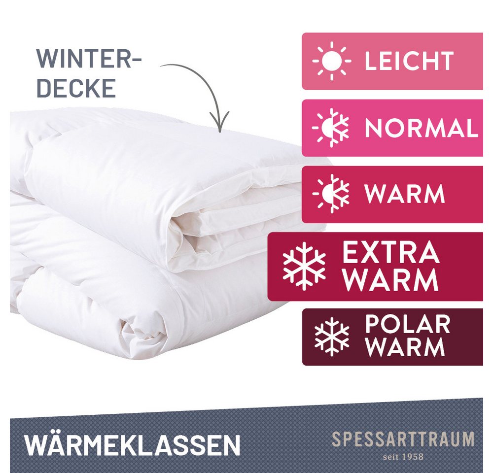 SPESSARTTRAUM Daunenbettdecke First Class, Füllung: 90% Daunen / 10% Federn, Klasse 1, Downpass zertifiziert, Bezug: 100% Baumwolle, Made in Green, Hausstauball – Bild 4 von 5