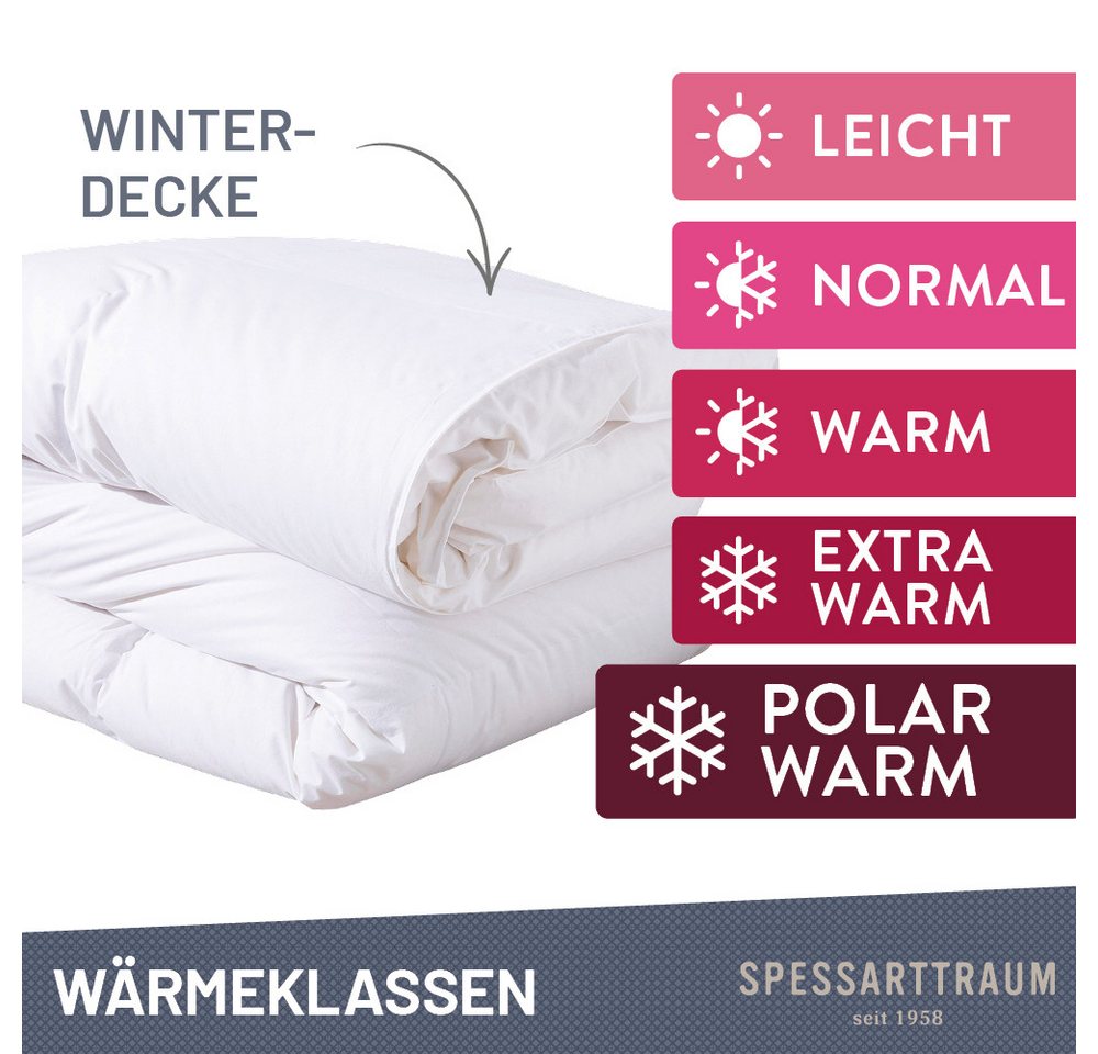 SPESSARTTRAUM Daunenbettdecke First Class, Füllung: 90% Daunen / 10% Federn, Klasse 1, Downpass zertifiziert, Bezug: 100% Baumwolle, Made in Green, Hausstauball – Bild 4 von 5