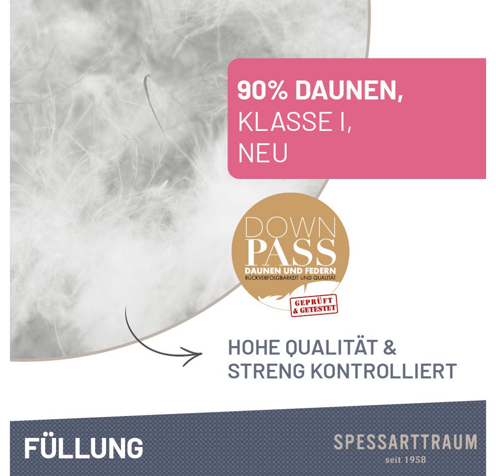 SPESSARTTRAUM Daunenbettdecke First Class, Füllung: 90% Daunen / 10% Federn, Klasse 1, Downpass zertifiziert, Bezug: 100% Baumwolle, Made in Green, Hausstauball – Bild 3 von 5