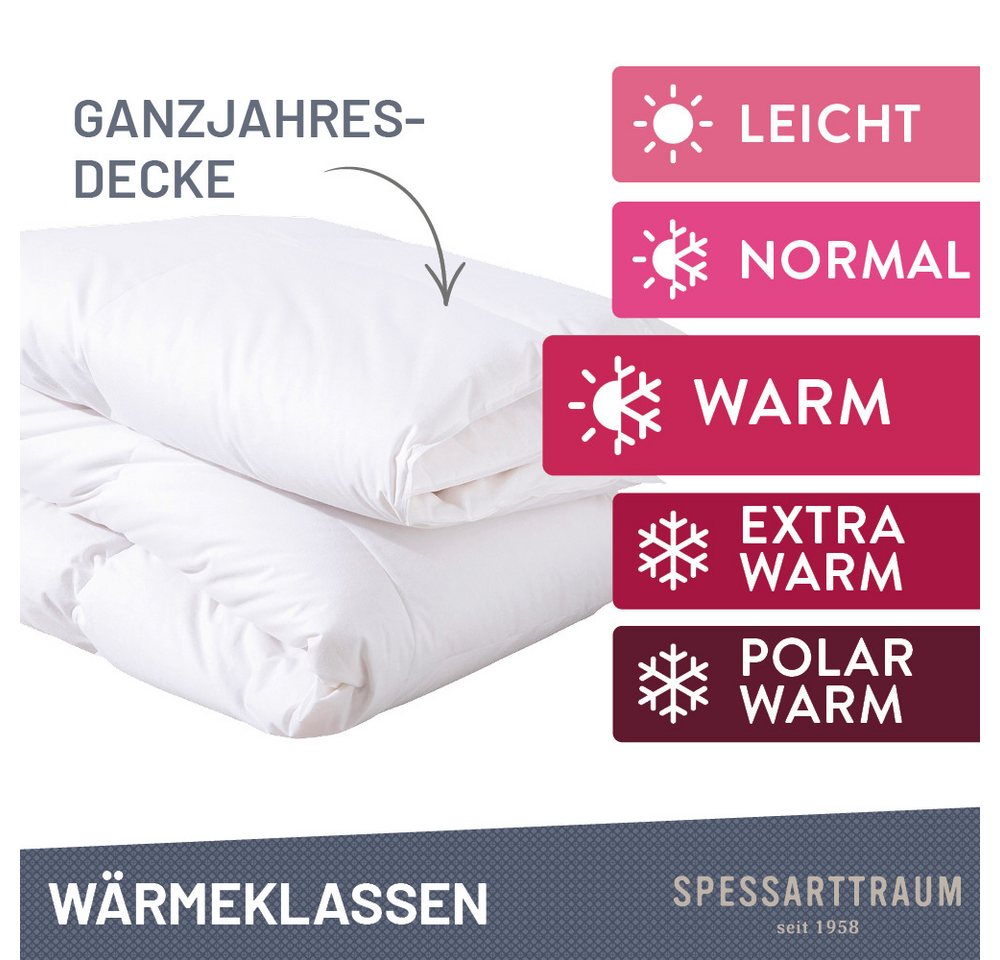 SPESSARTTRAUM Daunenbettdecke First Class, Füllung: 90% Daunen / 10% Federn, Klasse 1, Downpass zertifiziert, Bezug: 100% Baumwolle, Made in Green, Hausstauball – Bild 4 von 5