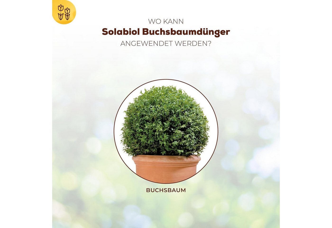 Solabiol Spezialdünger Solabiol Buchsbaum-Dünger mit Wurzelaktivator, 1,5 kg – Bild 3 von 5