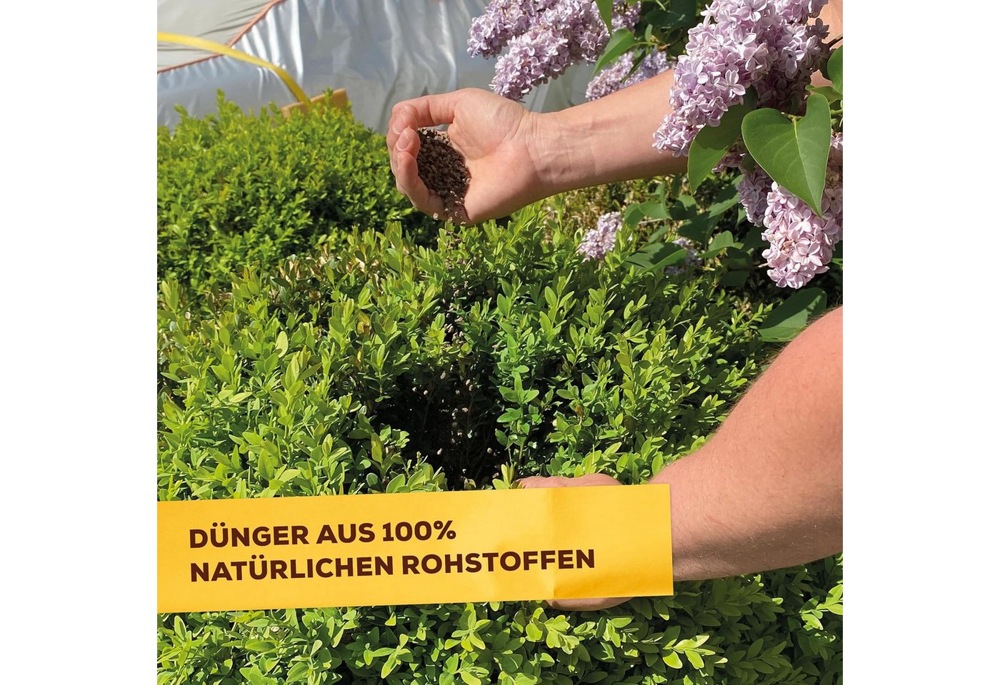 Solabiol Spezialdünger Solabiol Buchsbaum-Dünger mit Wurzelaktivator, 1,5 kg – Bild 5 von 5