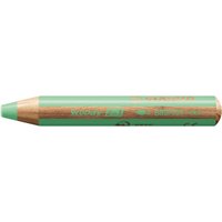 STABILO Multitalent-Stift 'woody' pastellgrün