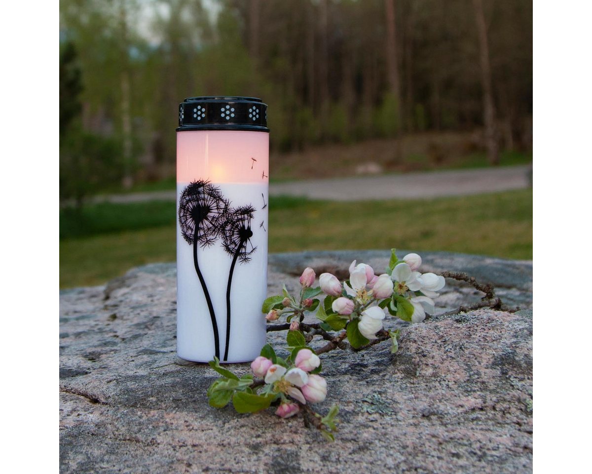 STAR TRADING LED-Kerze LED-Grablicht "Dandelion" 21cm, Timer, Batterie – Bild 2 von 3