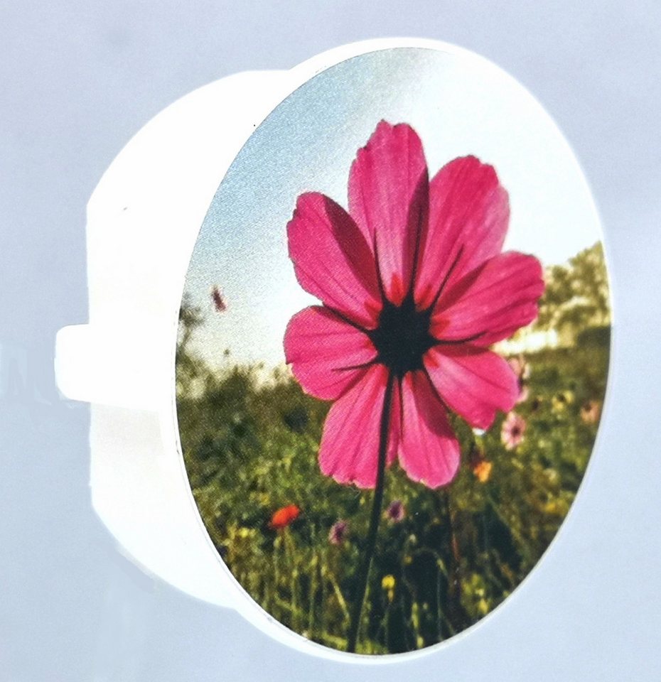 STECKEL Wanddekoobjekt 4x Steckdosenabdeckung mit bunten Blumen Staubschutz, DS-483 (Spar-Set, 4 St., Komplettset), Deko, Modern, Steckdose staubfrei, Steckdose – Bild 5 von 5