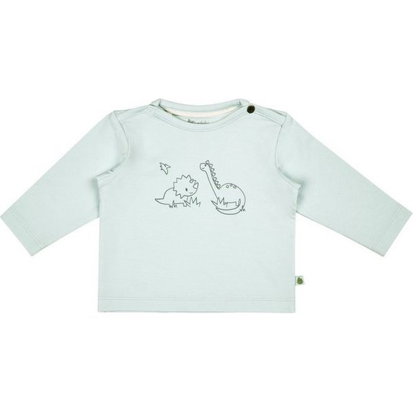Sterntaler® Langarmshirt Langarmshirt Rexi (1-tlg)