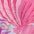Sunseeker Bügel-Bikini-Top Butterfly, mit Schmetterling-Design – Bild 5 von 5
