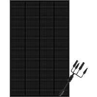 Ray 200W Solarmodul Komplett Schwarz | 1*200W Solarmodul | Mit MC4-Adapterkabel