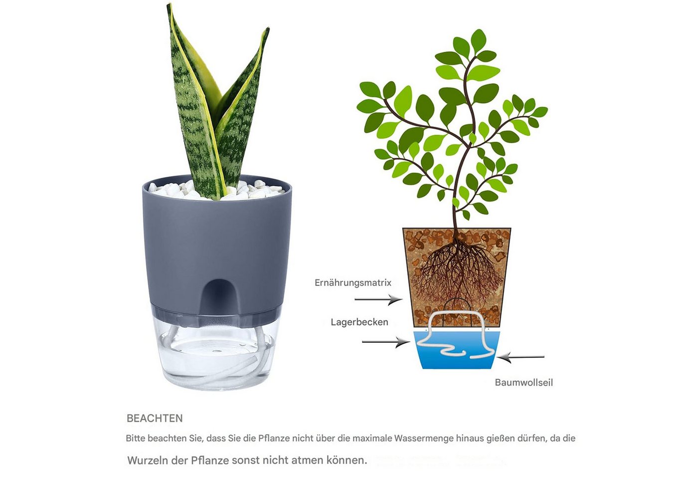 SURFOU Kräutertopf Blumentopf Selbstbewässerungstopf Pflanzentopf küche 3er-set Plantpot (Mit Wasserreservoir mit Bewässerungsseil sorgt, Wasserstandsanzeige, R – Bild 5 von 5