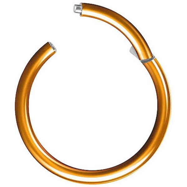 Taffstyle Nasenpiercing Clicker Ohr Universal Piercing Titan G23 oder Chirurgenstahl (Vielseitiger Segmentring aus Titan oder Chirurgenstahl in vielen Farben un