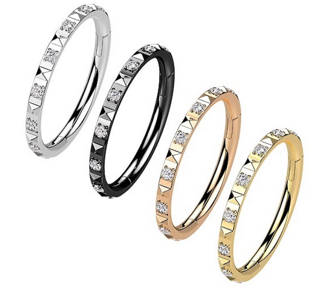 Taffstyle Nasenpiercing Septum Piercing Ring Segmentring Clicker Scharnier Kristalle Pave, Nasenpiercing Nasenring Ohrpiercing Ohr Nase Tragus Helix Brust Intim – Bild 2 von 2