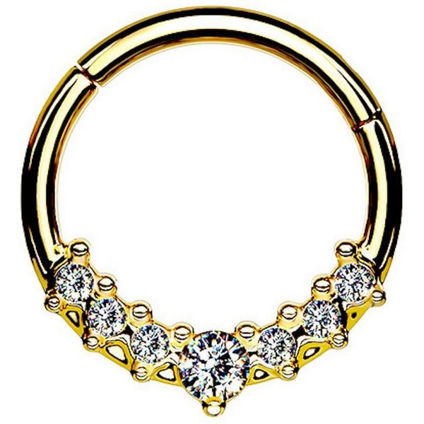Taffstyle Nasenpiercing Septum Piercing Ring Segmentring Clicker Scharnier mit Kristallen, Nasenpiercing Nasenring Ohrpiercing Ohr Nase Tragus Helix Brust Intim